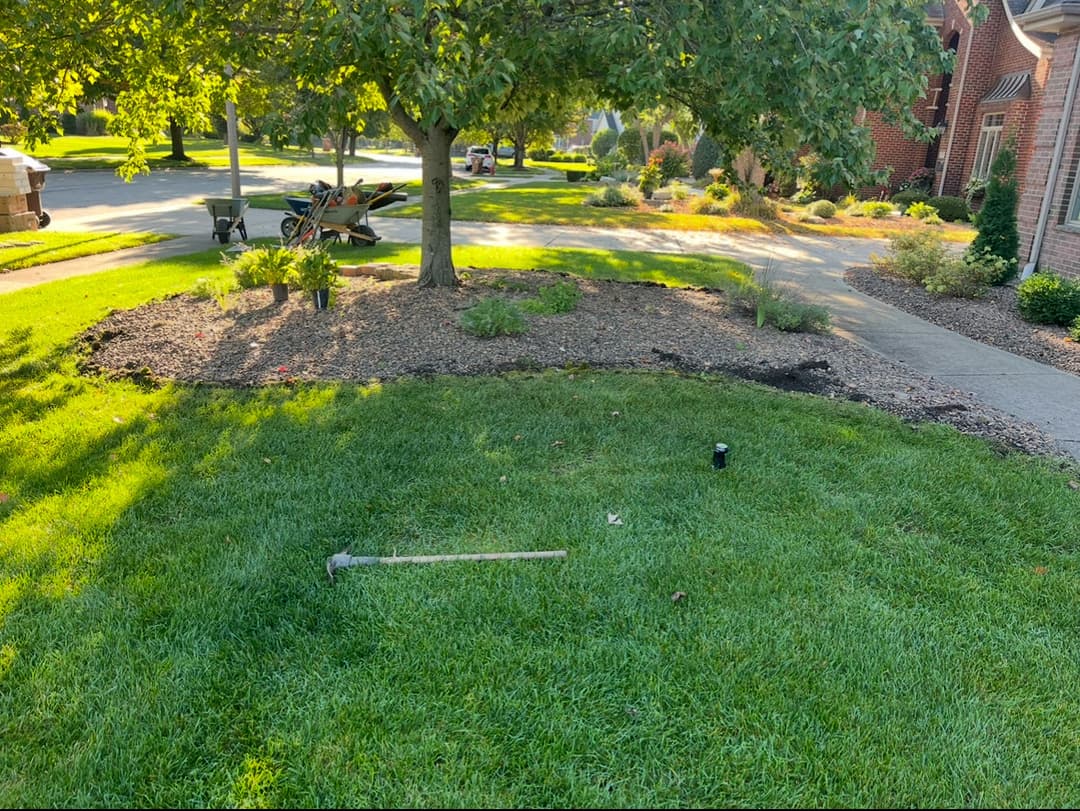 Lawn maintenance scene with tools and landscaped garden under a tree in sunny weather.