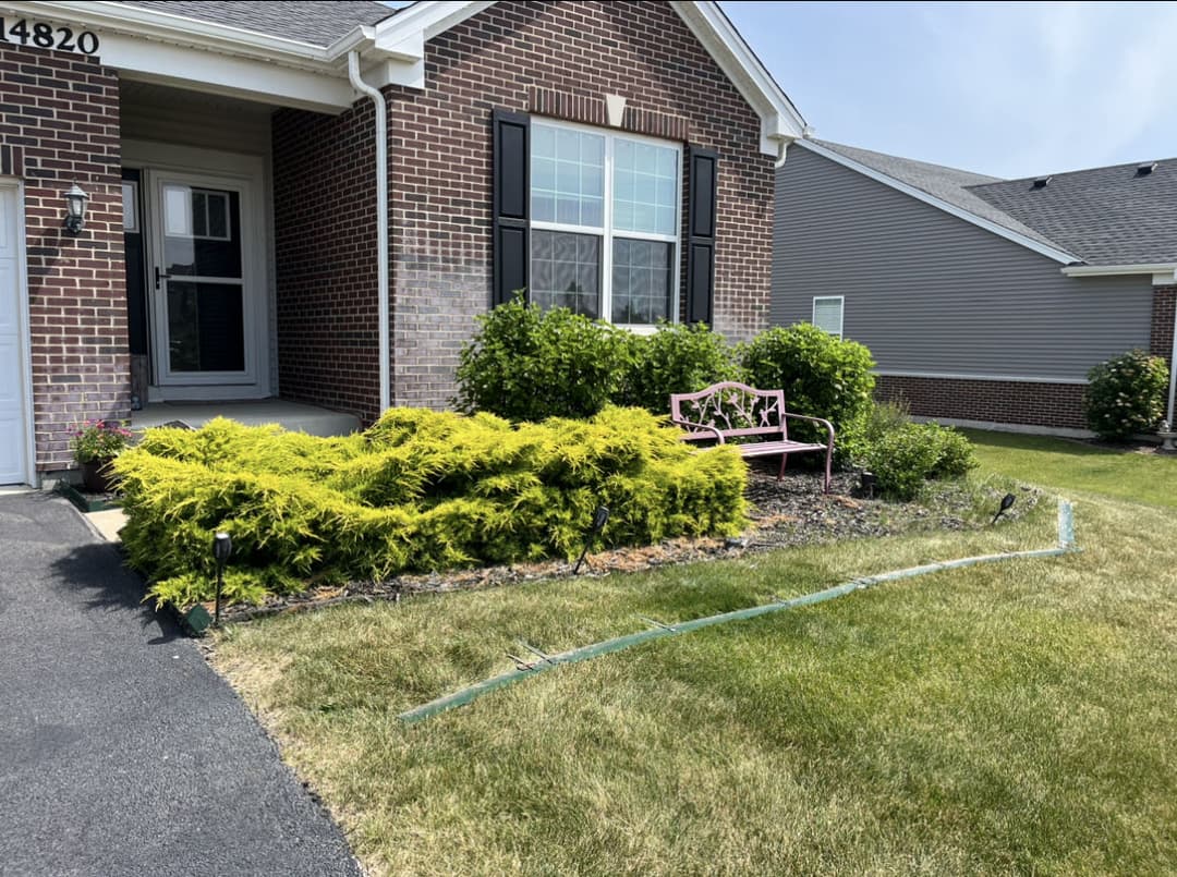Vibrant garden with a pink bench beside a brick house, lush green shrubs, and a neat lawn.