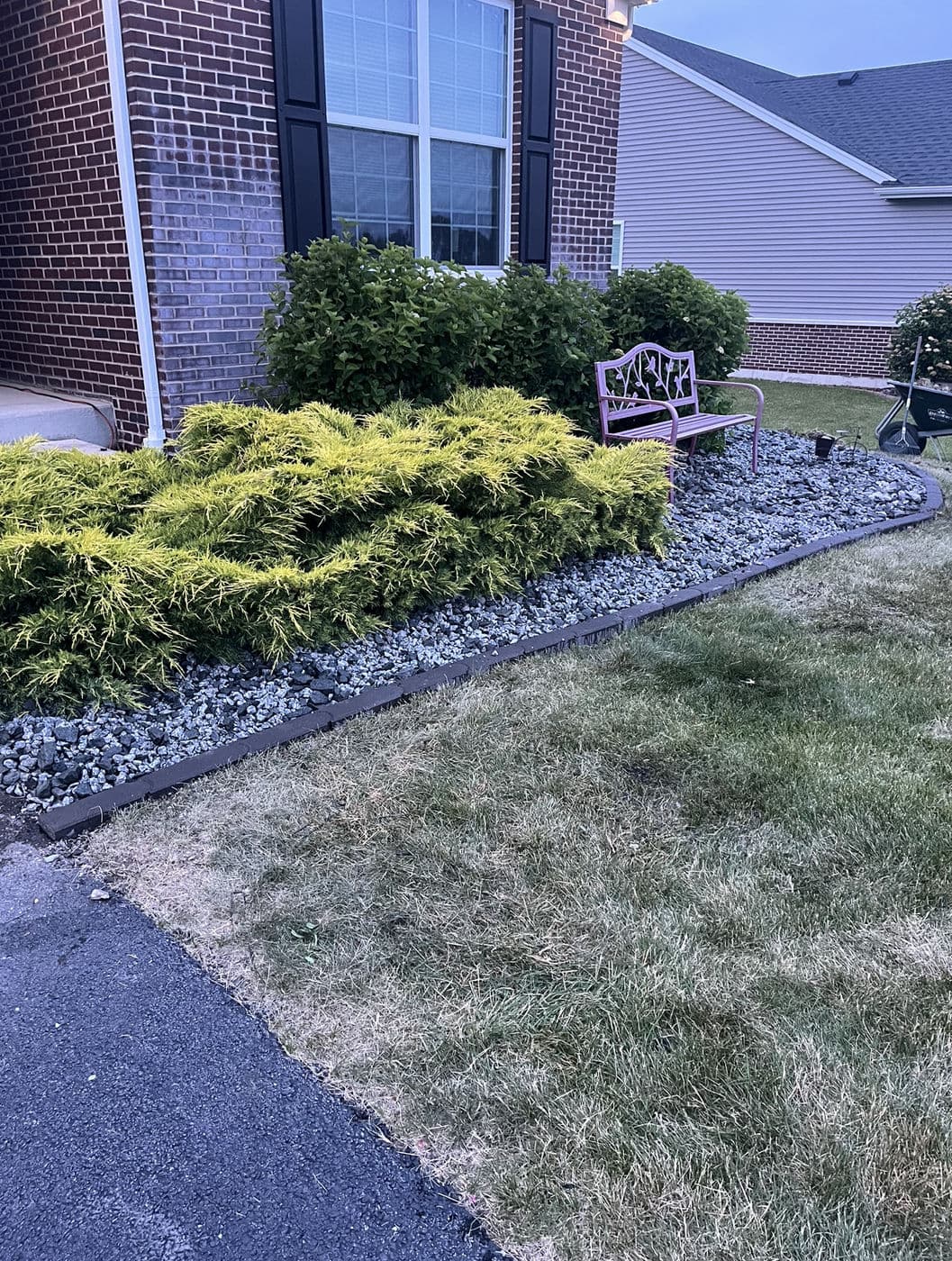 Colorful landscaped garden with gold juniper bushes and a pink bench on gravel.