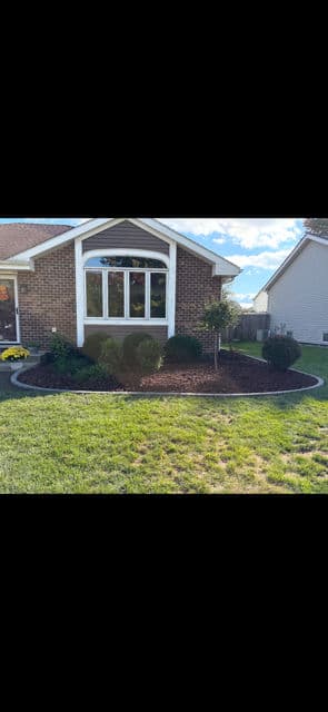 Fresh Landscaping with Mulch and Edging Installation