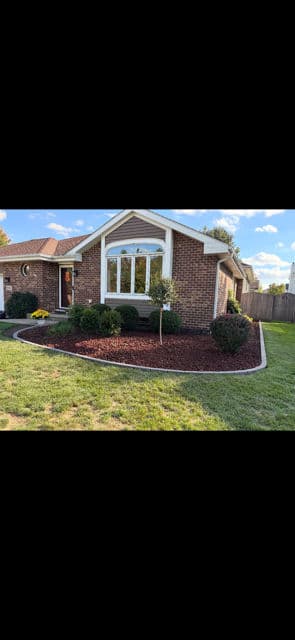 Fresh Landscaping with Mulch and Edging Installation