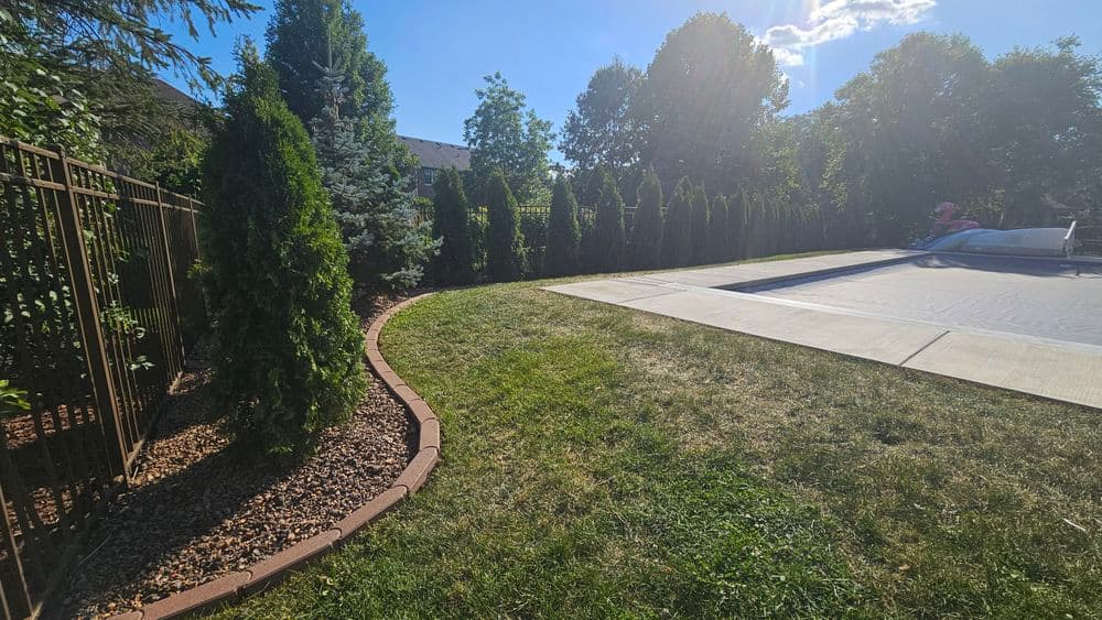 Backyard pool area with green grass, tall trees, and a protective fence under a sunny sky.