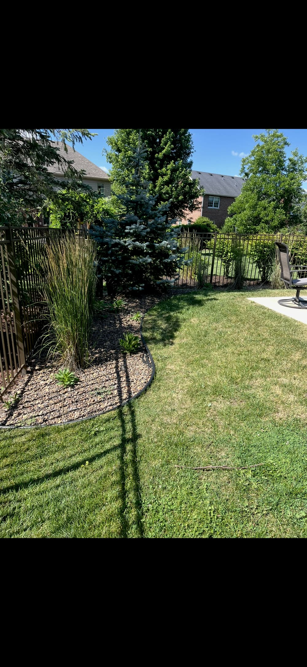 Lush backyard garden with green grass, shrubs, and decorative fencing on a sunny day.